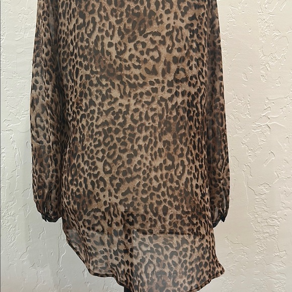 Daniel Rainn Brown Tan Flutter Sleeve Blouse - Picture 6 of 7